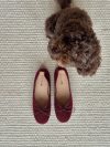 Cossetta ballerina with detail - Burgundy